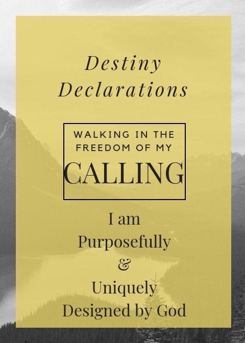 destiny-declarations-calling-cards