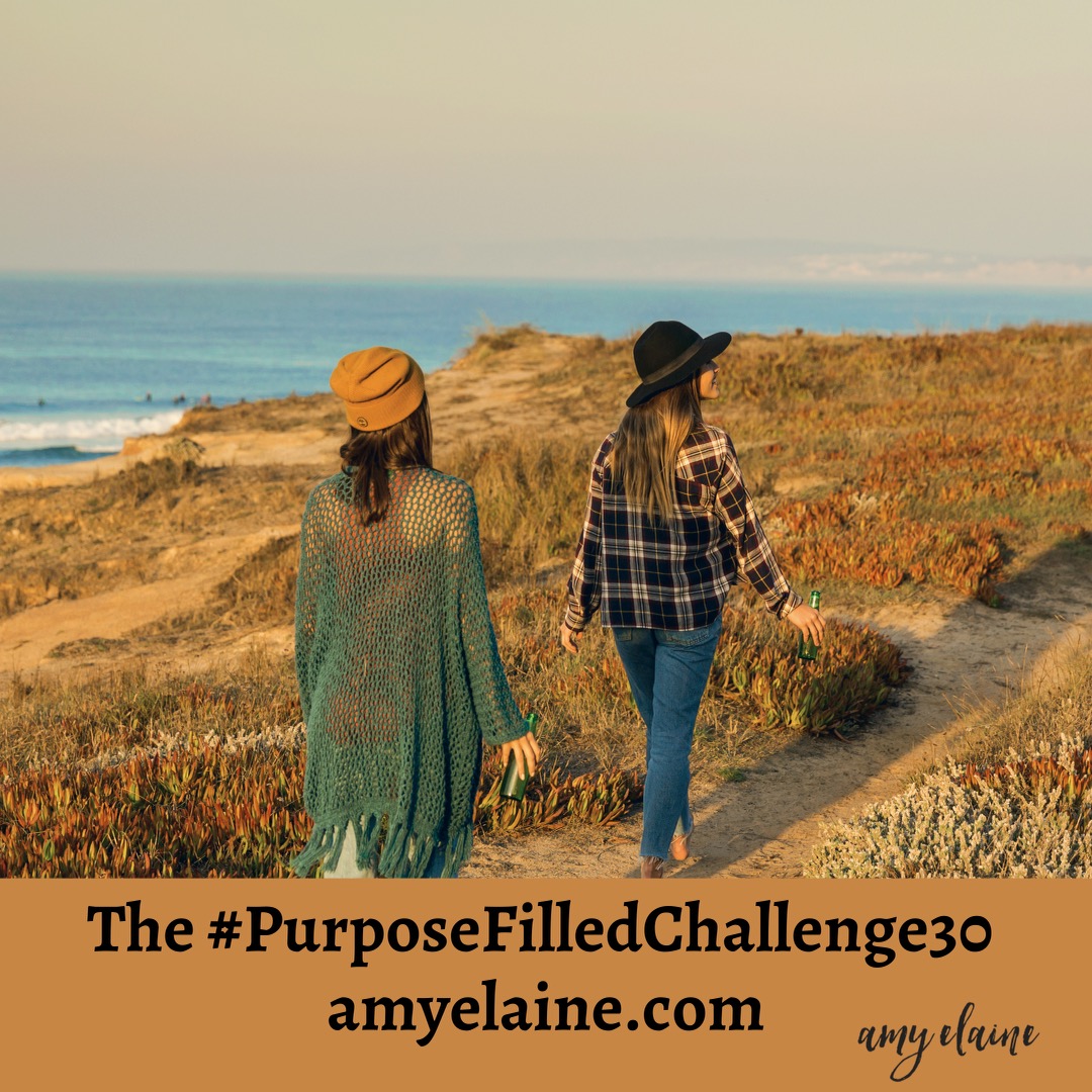 purpose filled challenge