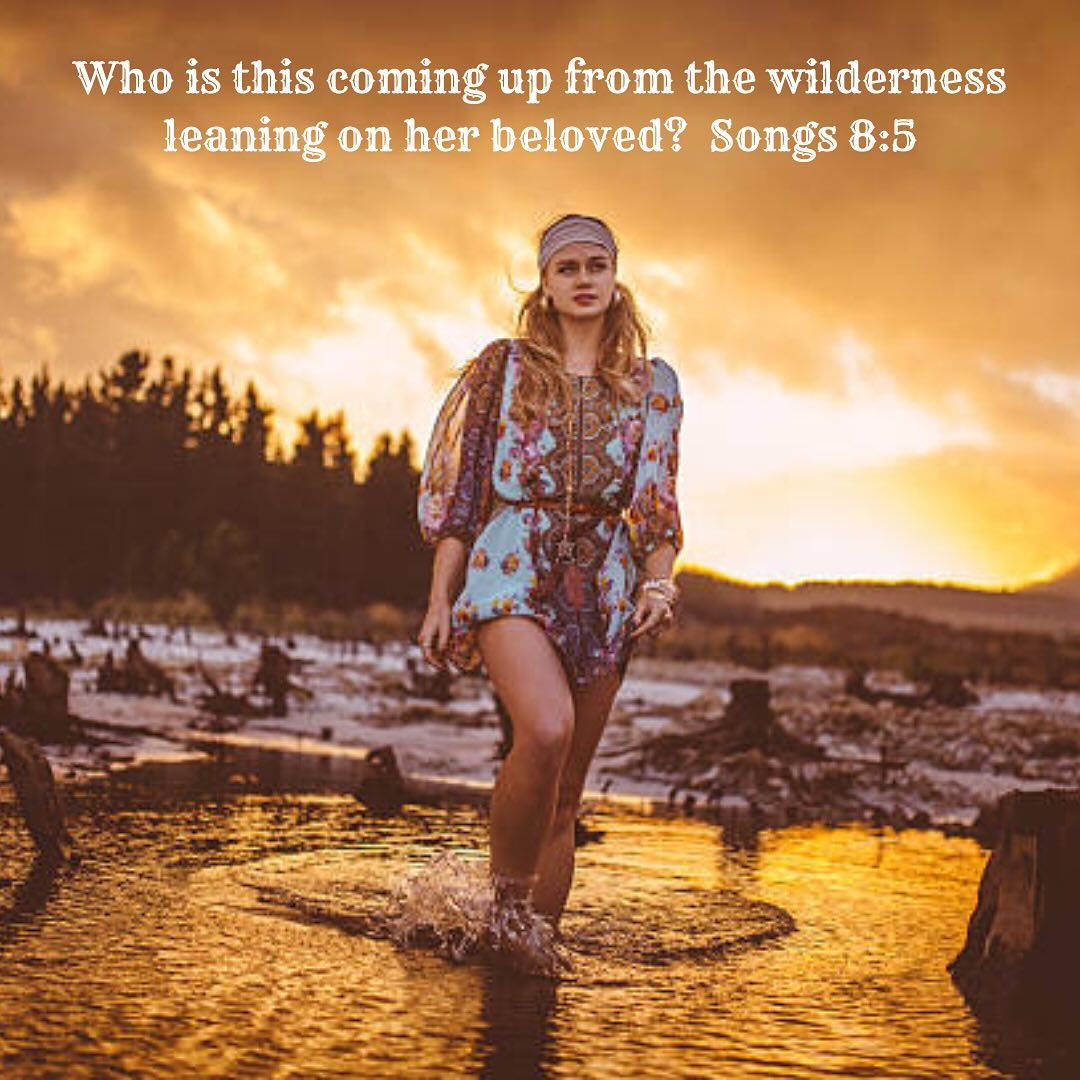 from-the-wilderness Who is this coming up from the wilderness leaning on her beloved? Songs 8:5